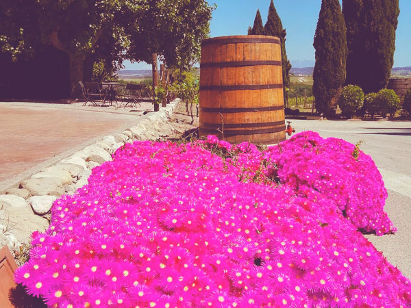 giro-ribot_celebracions-privades_exterior4