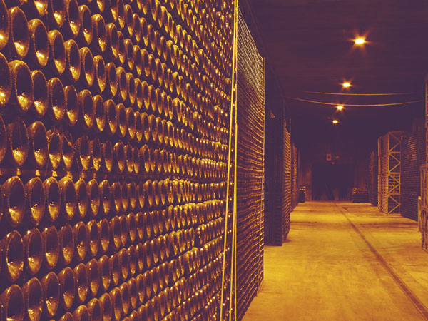 giro-ribot_visites-celler_2