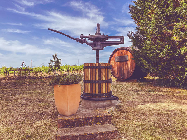 giro-ribot_visites-visita_3